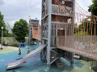 Part of Maggie Daley Park.